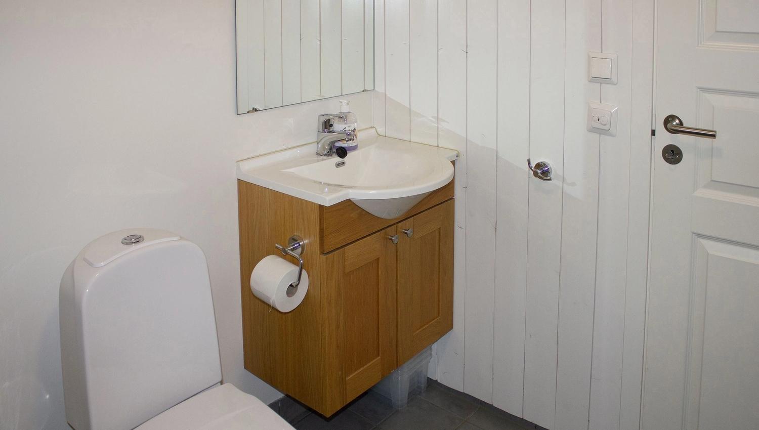 A bathroom sink with a roll of toilet paper.
