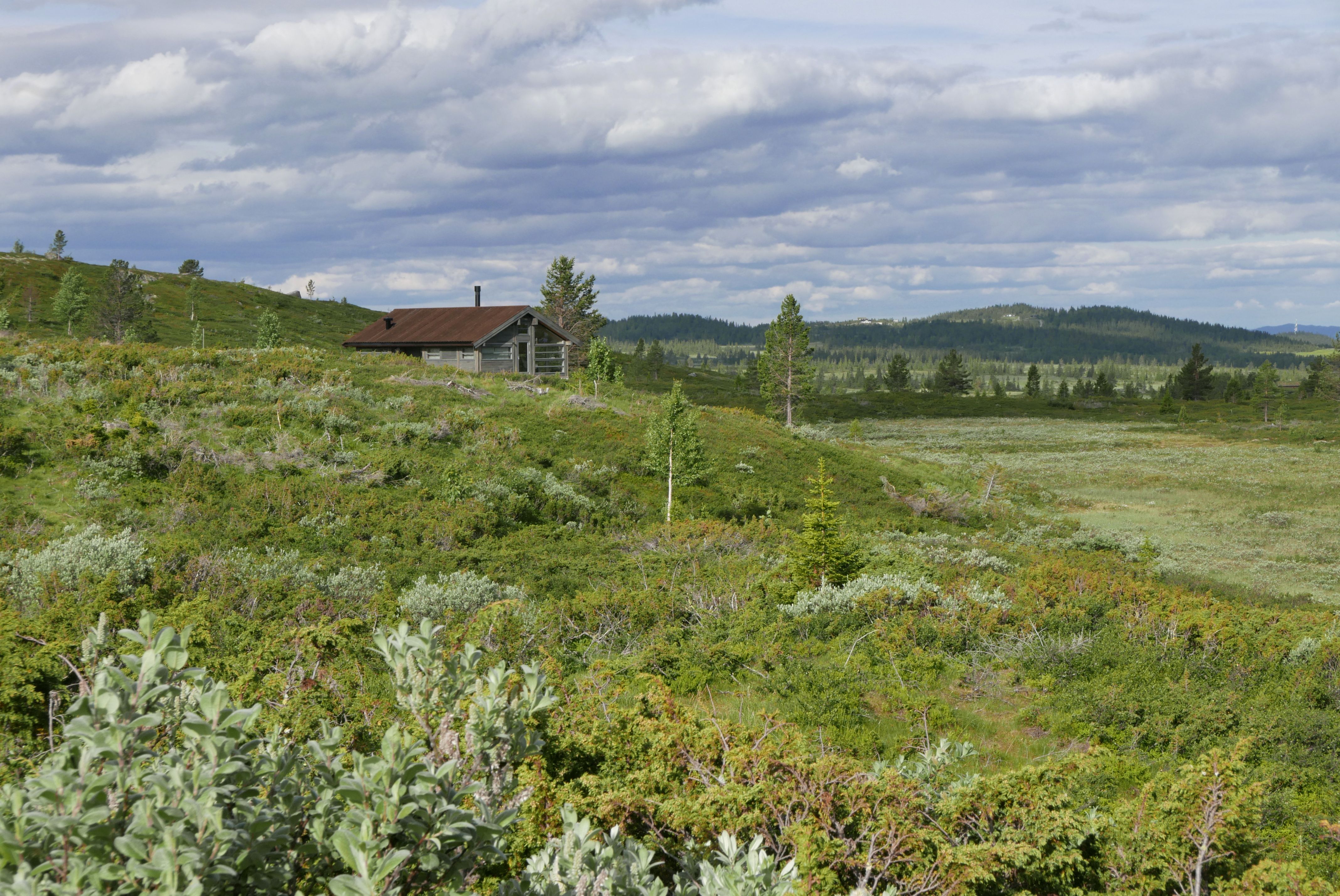 Ålhytte sommar