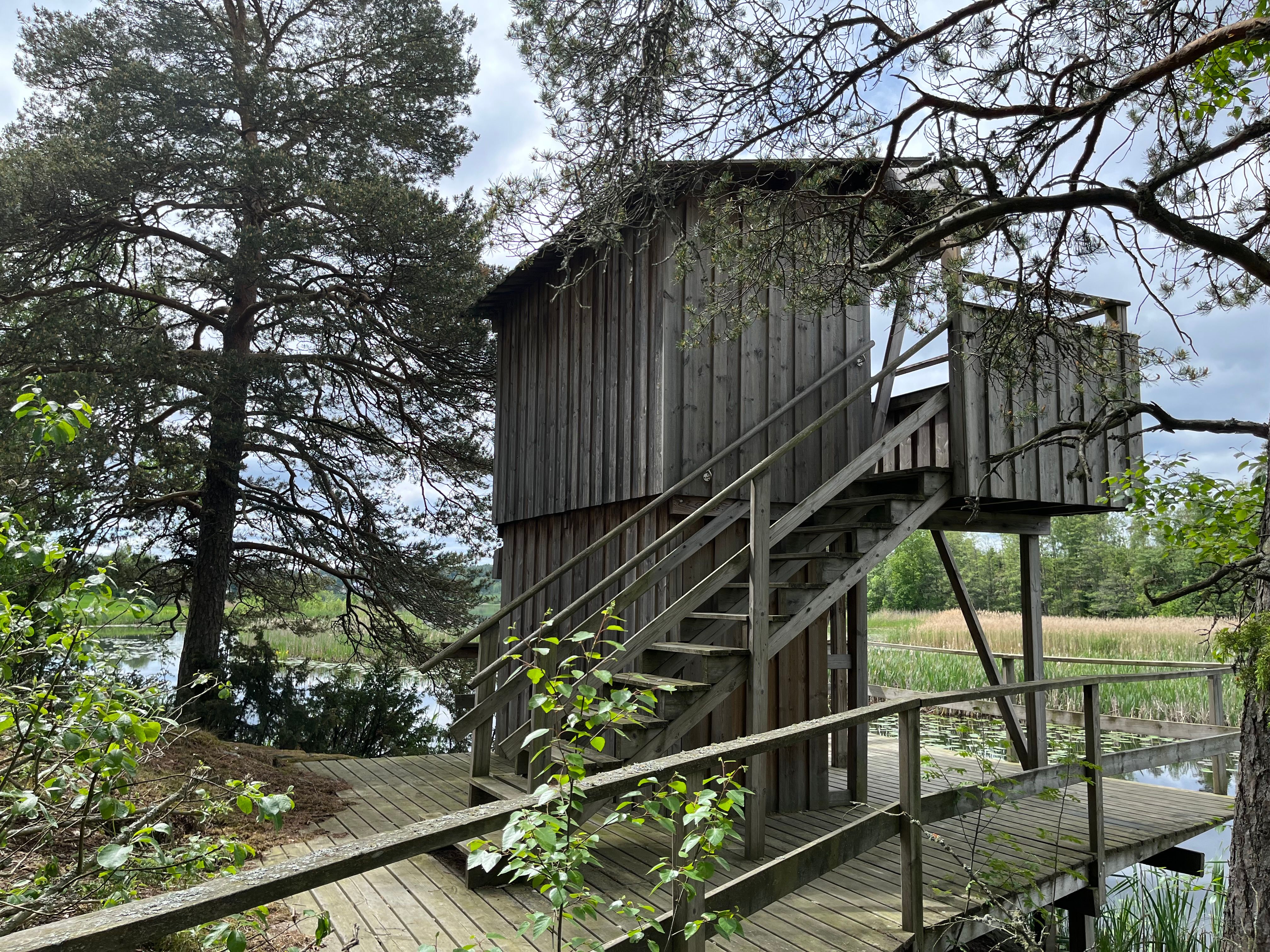 Bird watching tower