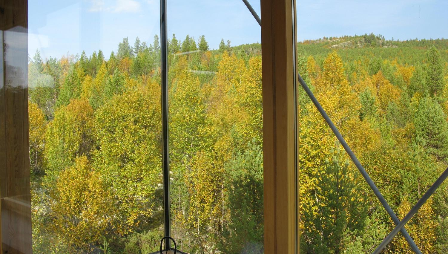 Fin utsikt, Elgtårnet i Espedalen