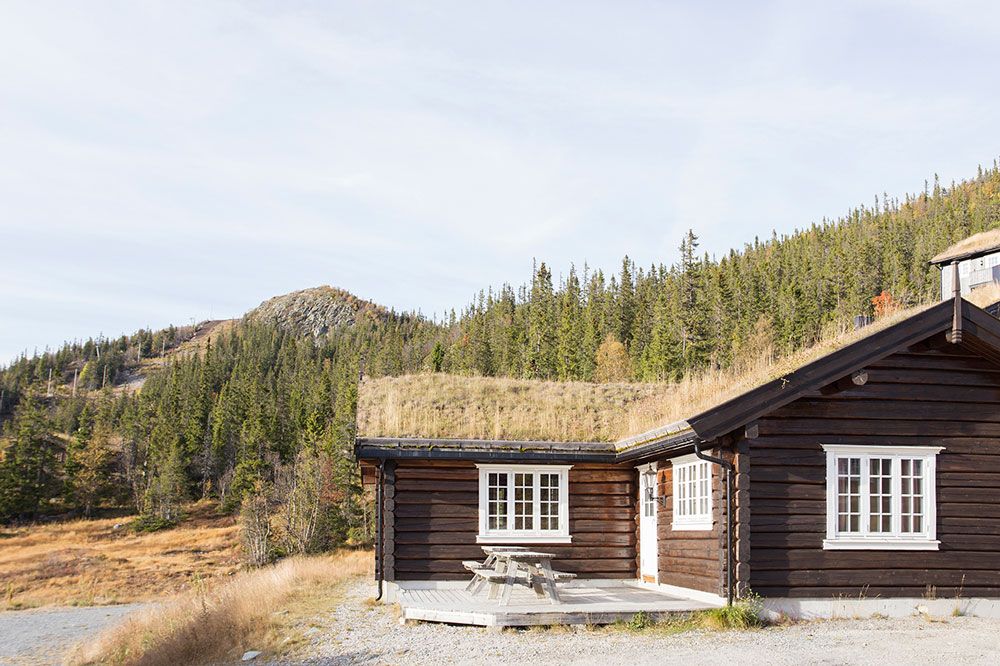 cabin for rent from Gaustablikk Fjellresort