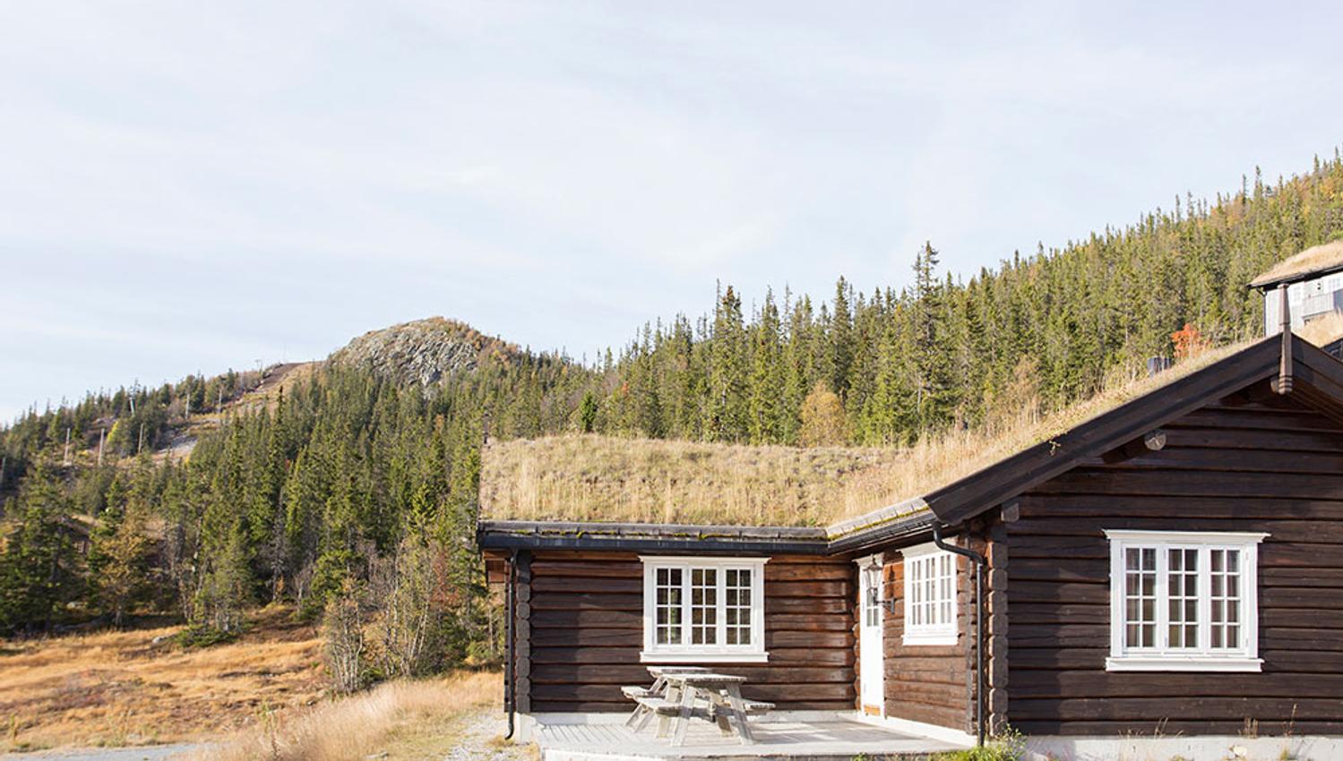 cabin for rent from Gaustablikk Fjellresort
