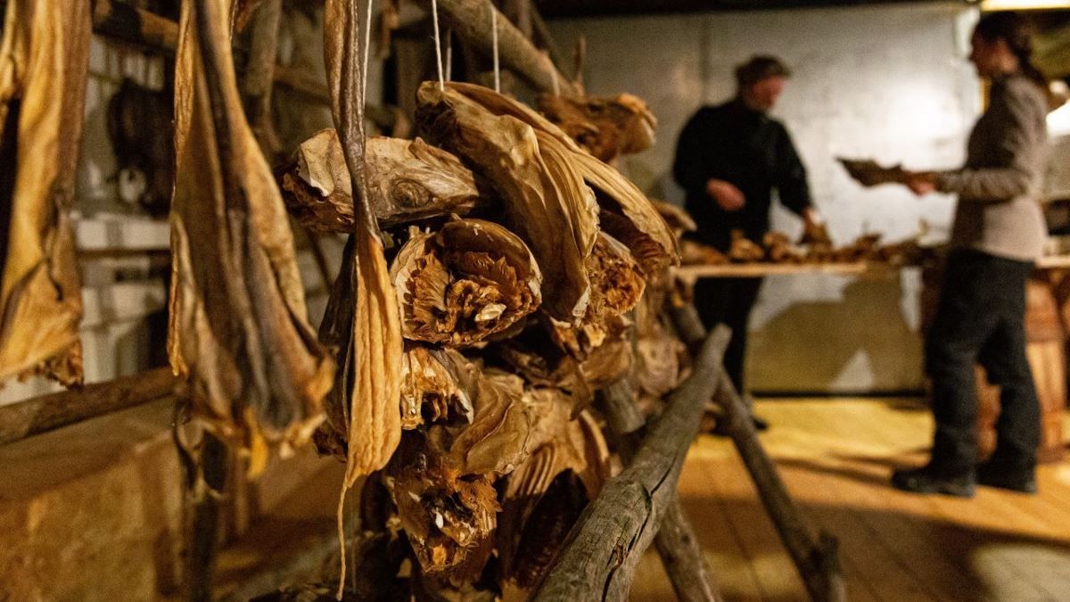 Dried fish in the exhibition