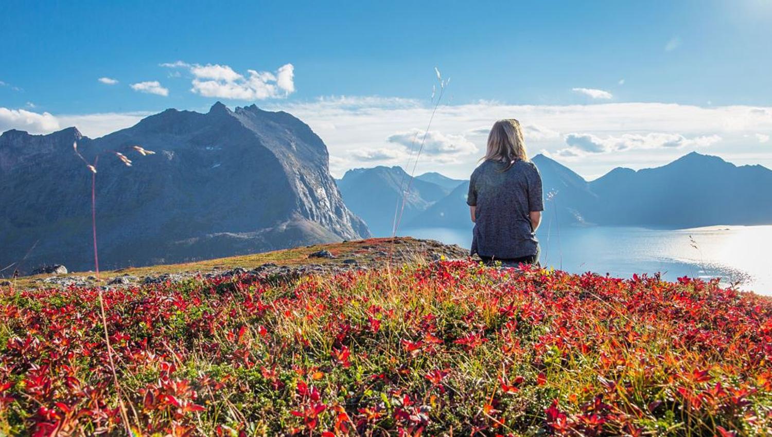 A guest looks out over the view