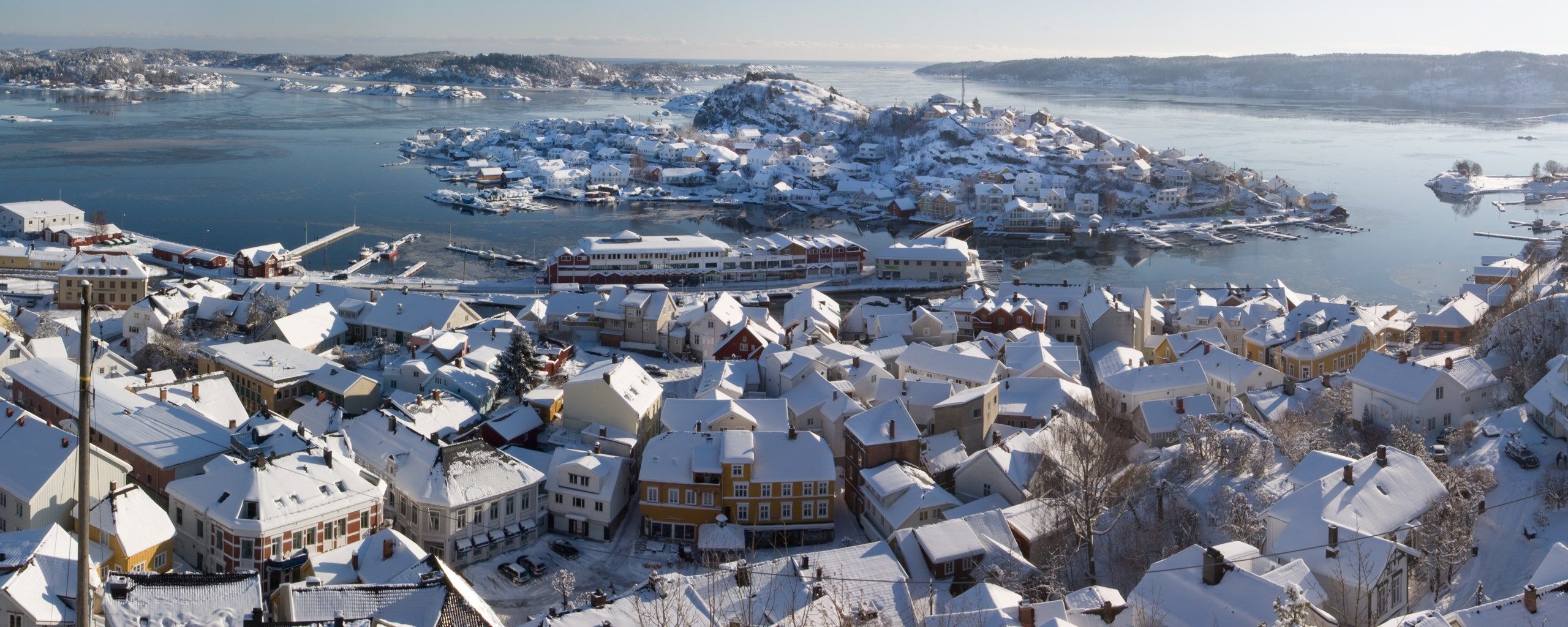 vinter steinmann