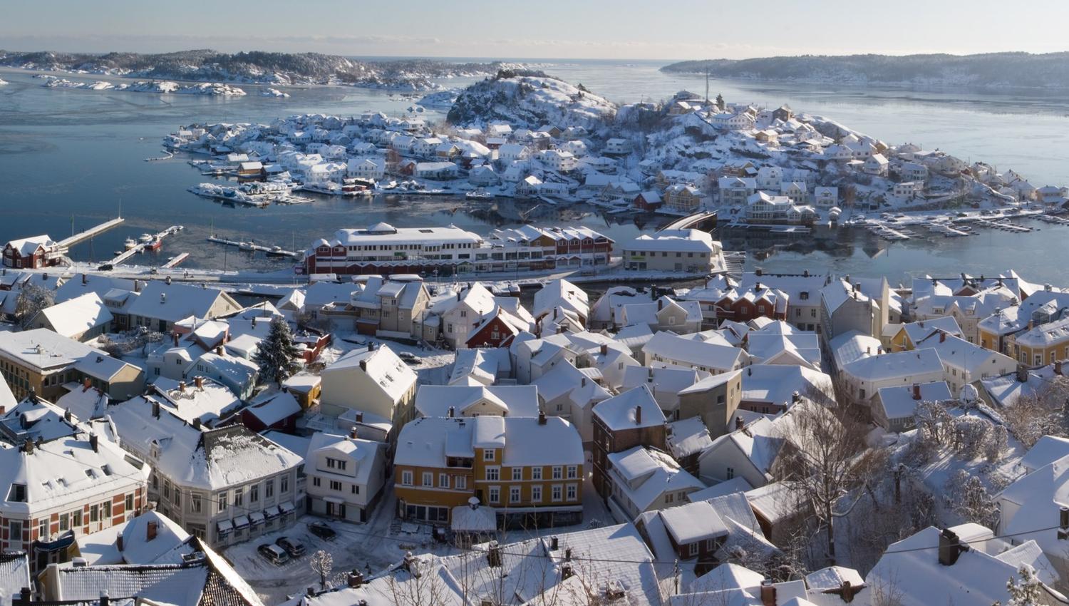 vinter steinmann