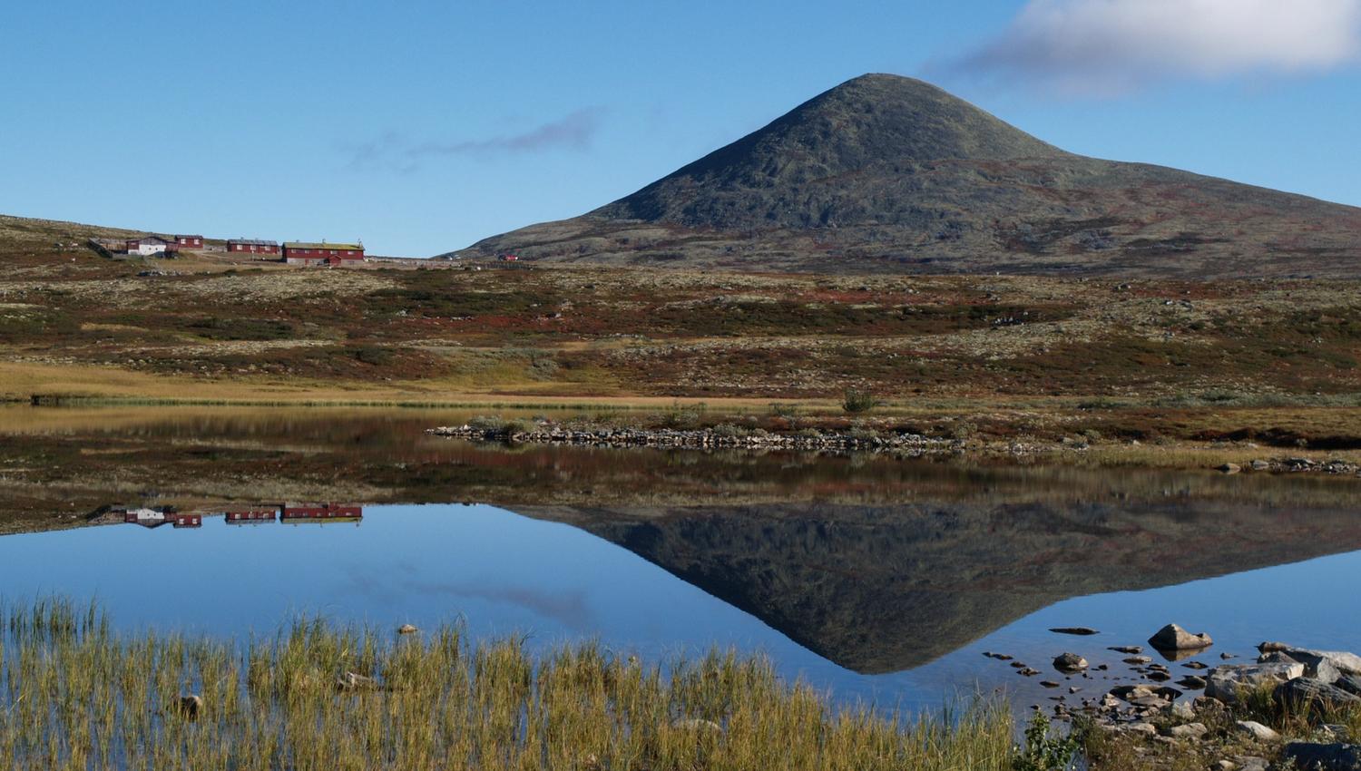 Muen speiler seg i vannet