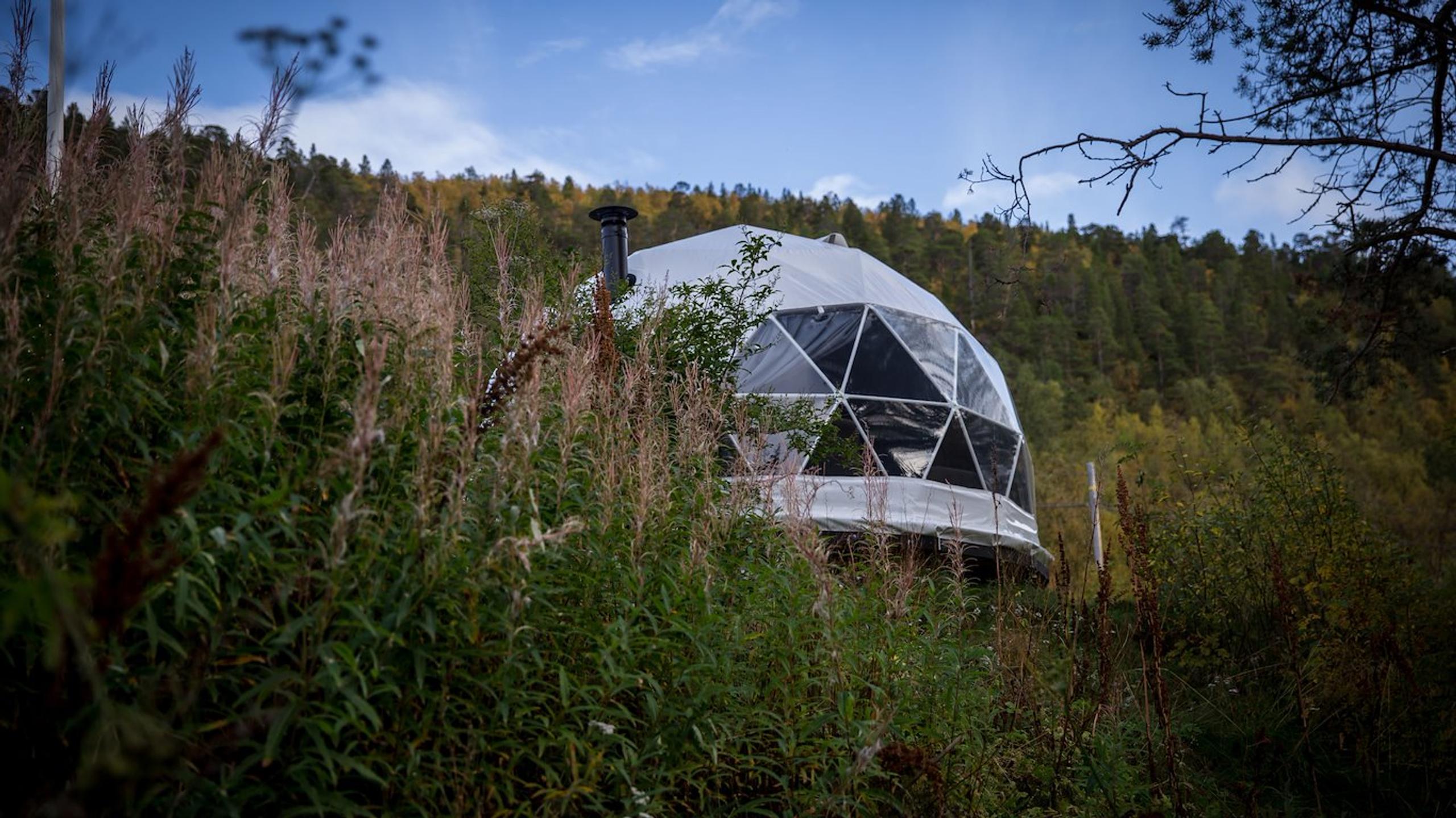 Geodesic dome nestled in tall grass and trees on a hillside.