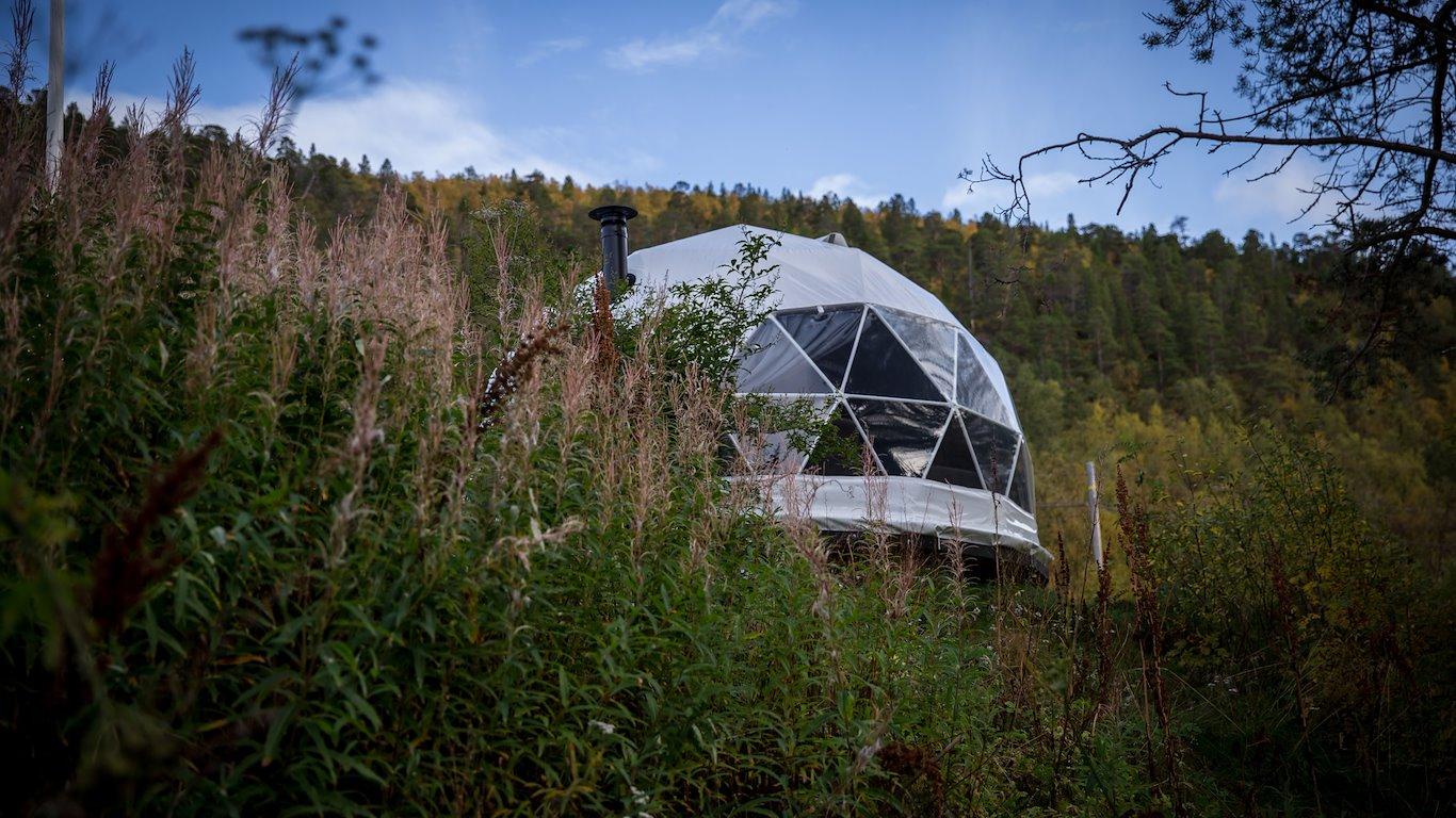 Geodesic dome nestled in tall grass and trees on a hillside.