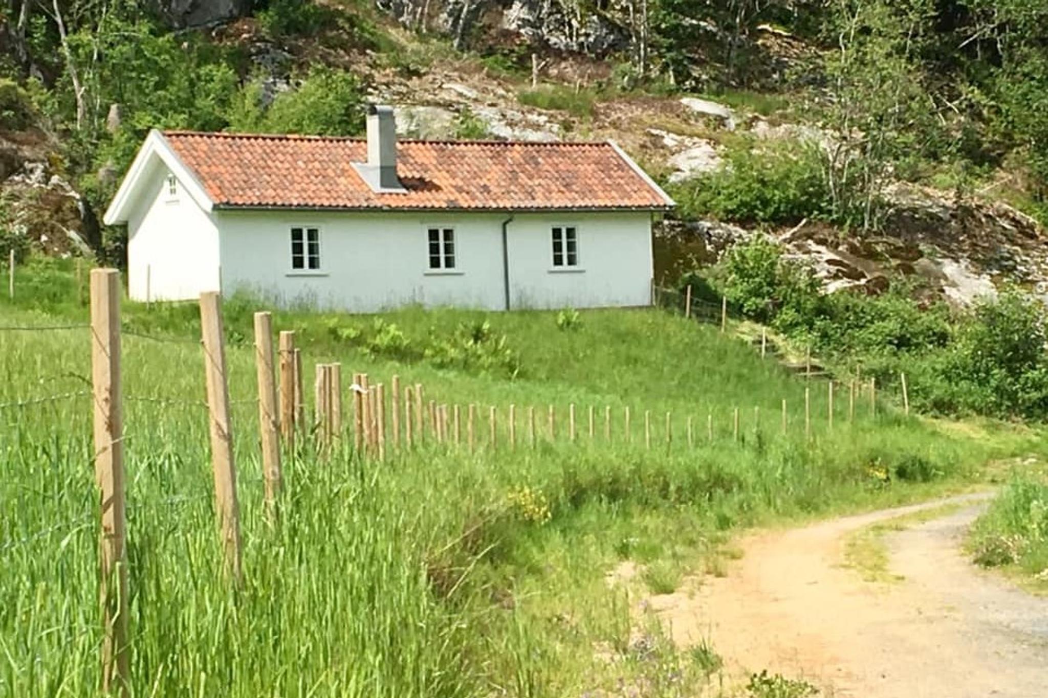 Guidet tour of Hamsun's writer's cottage