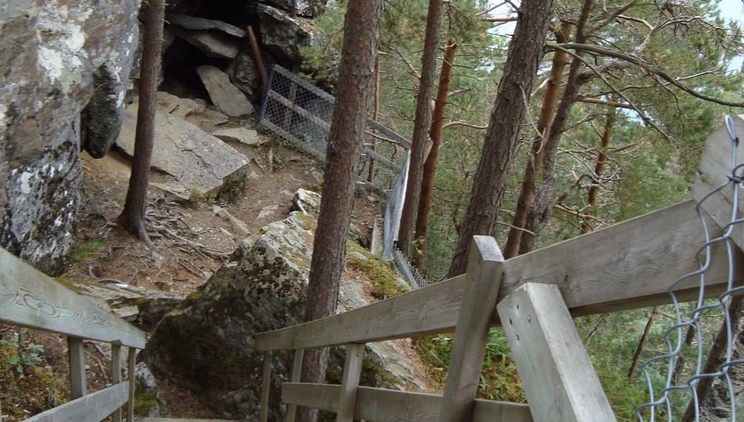 Wooden staircase with railings descends beside a rocky cliff, surrounded by pine trees and a wire fence.