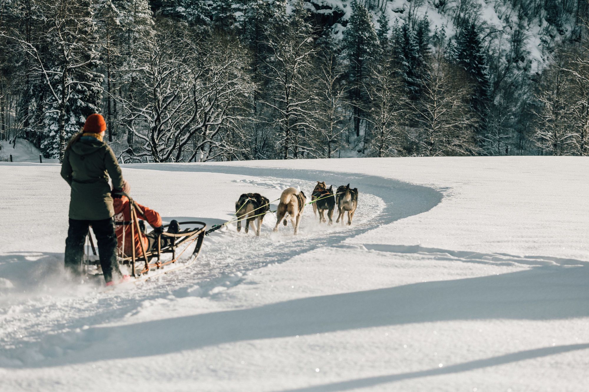 Sirdal Huskyfarm