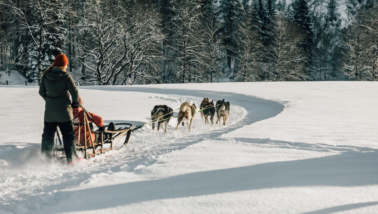 Sirdal Huskyfarm