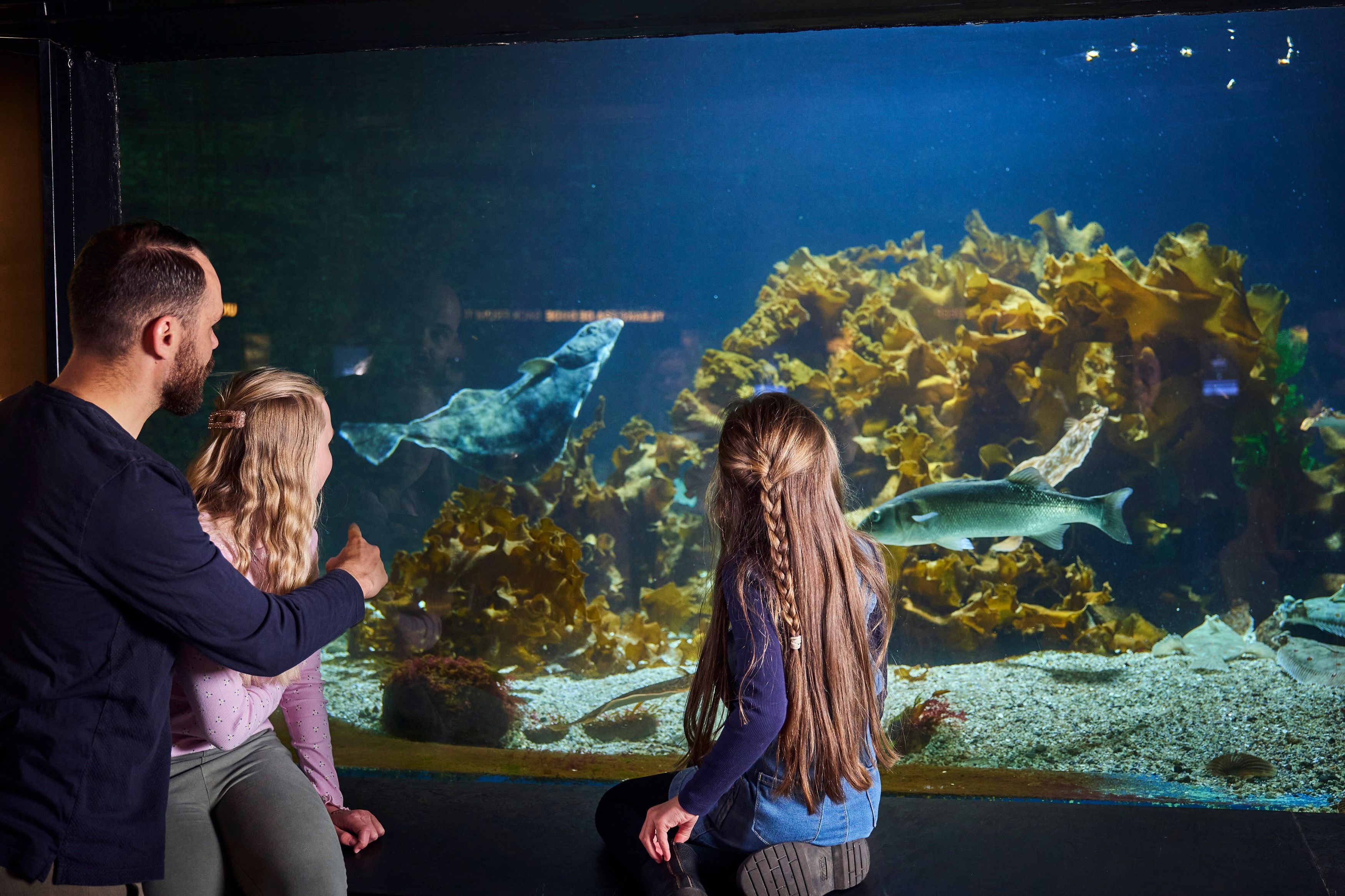 Bergen Aquarium