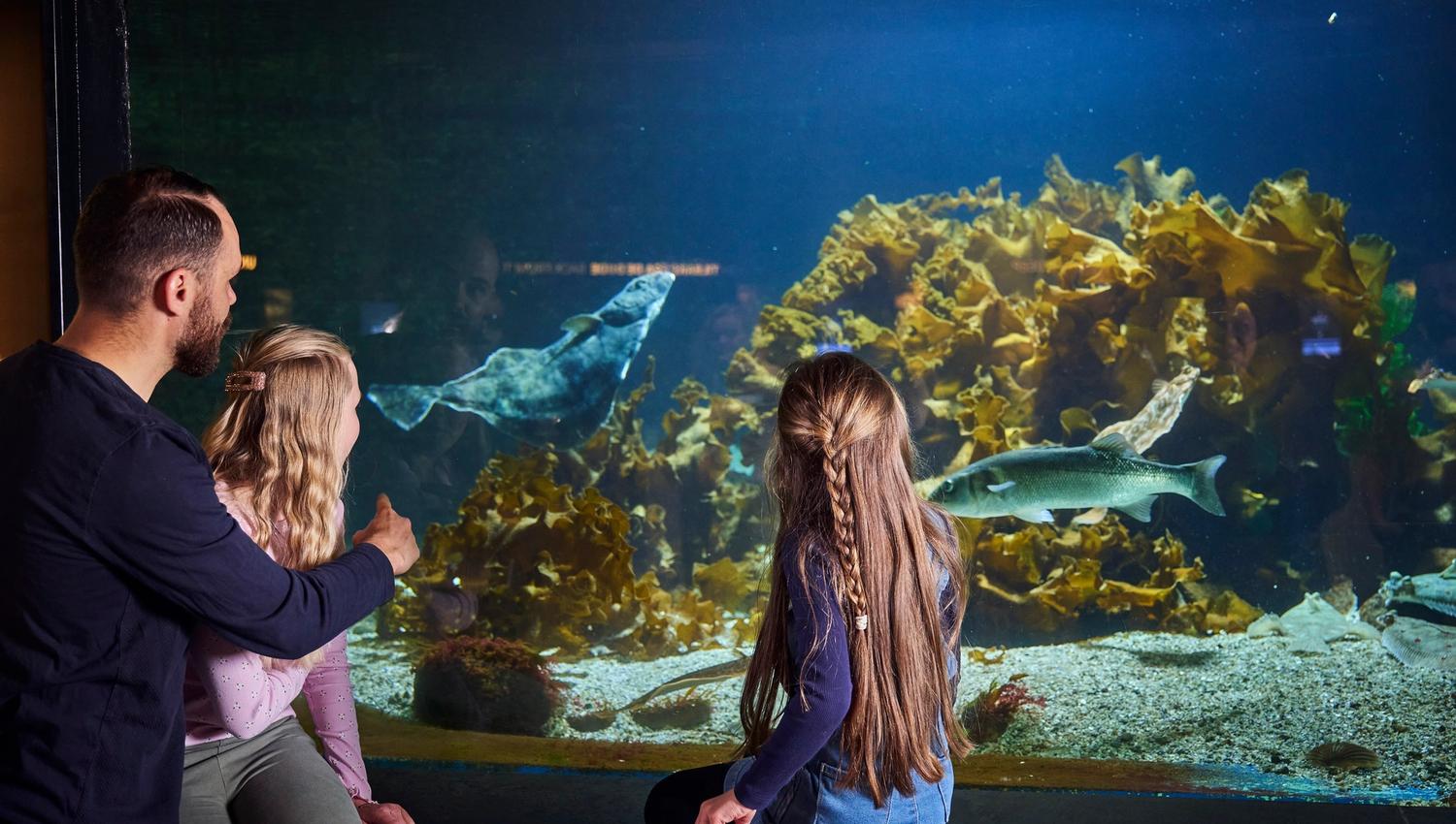 Bergen Aquarium