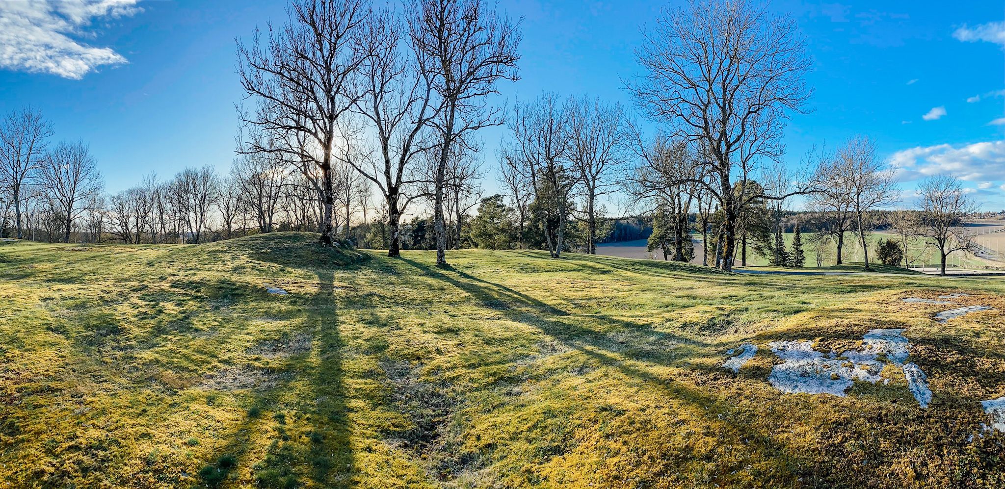 Sun peeking out from behind bare deciduous trees and casting shadows over a green plain. Photo.