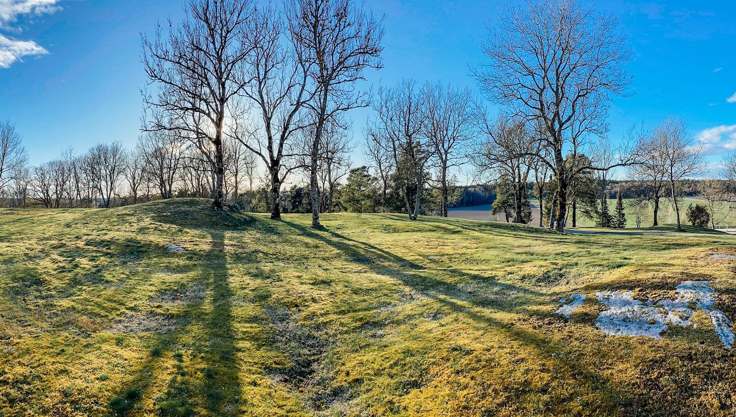 Sun peeking out from behind bare deciduous trees and casting shadows over a green plain. Photo.