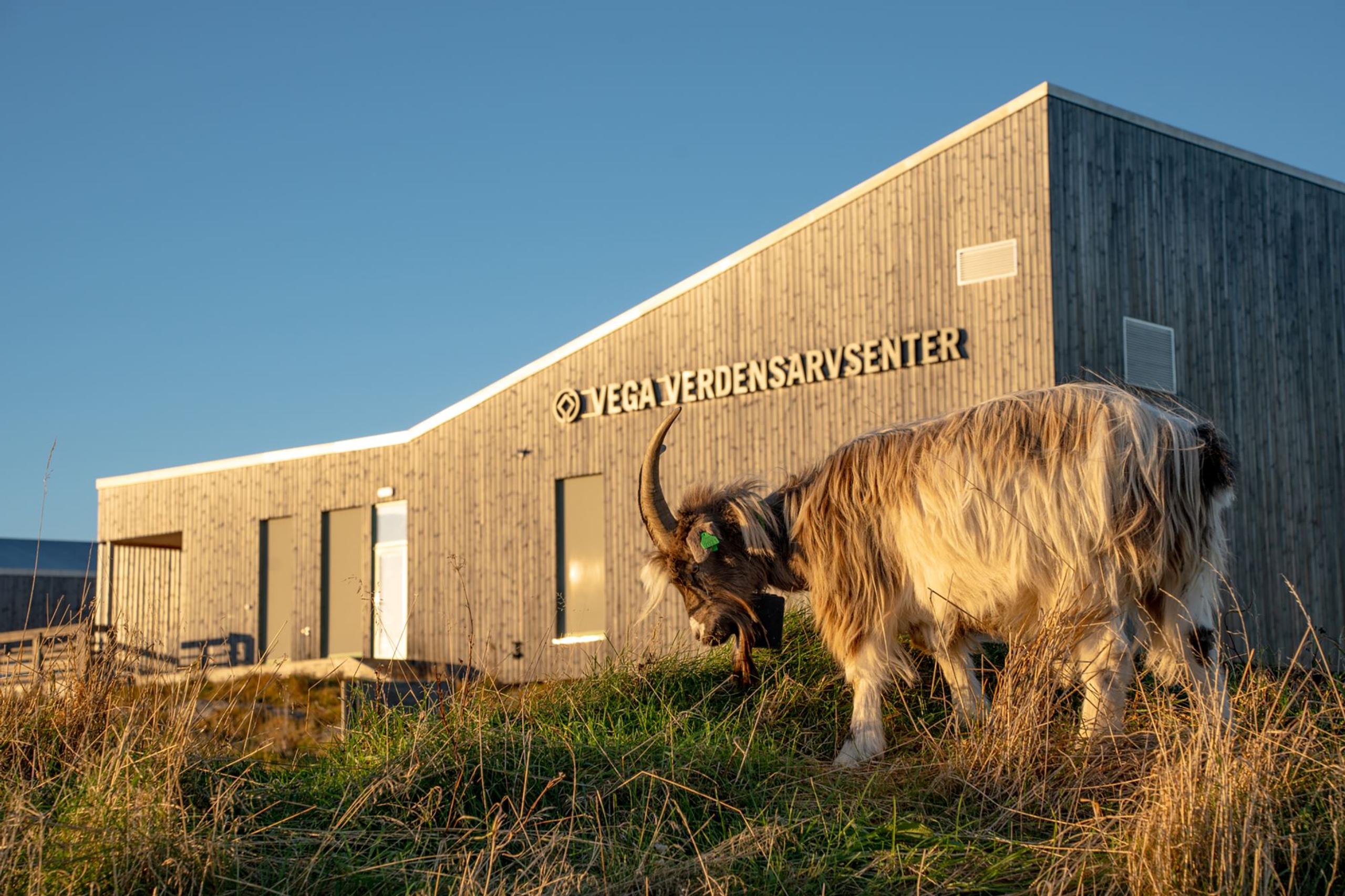Vega Verdensarvsenter