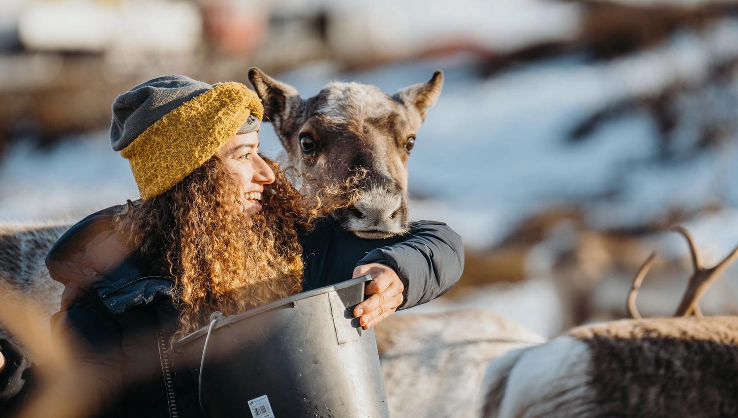 Person with a yellow hat and bucket in the snow, close to a reindeer