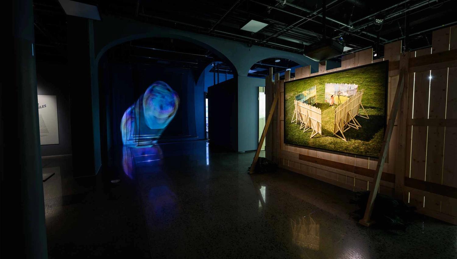 From the exhibition "The Echo Chamber" (2024)