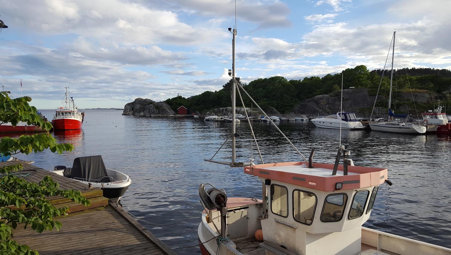 Boat at the harbour