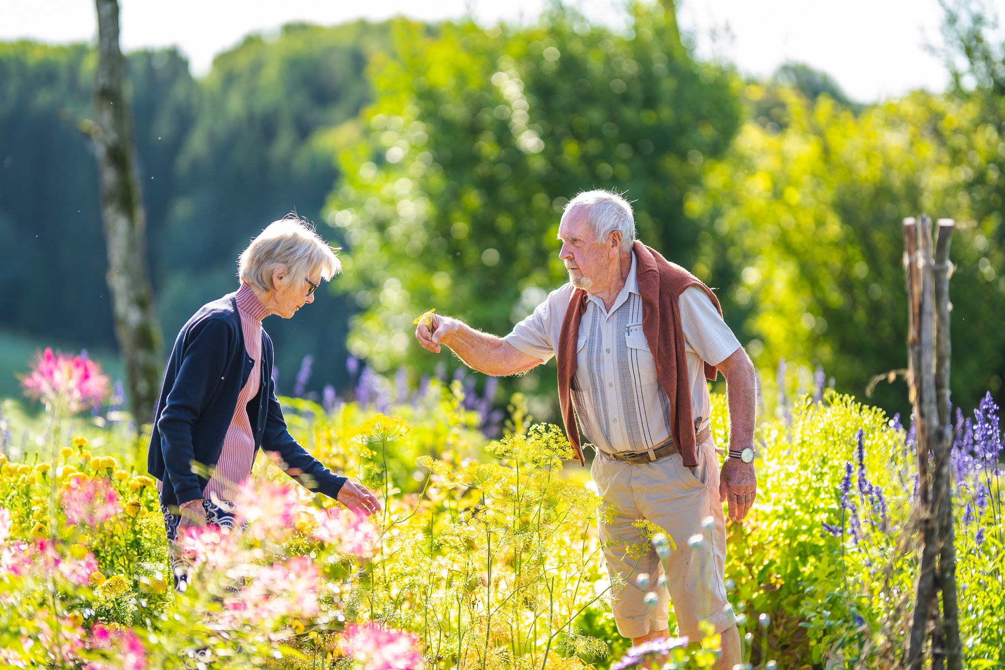 Old couple in the field