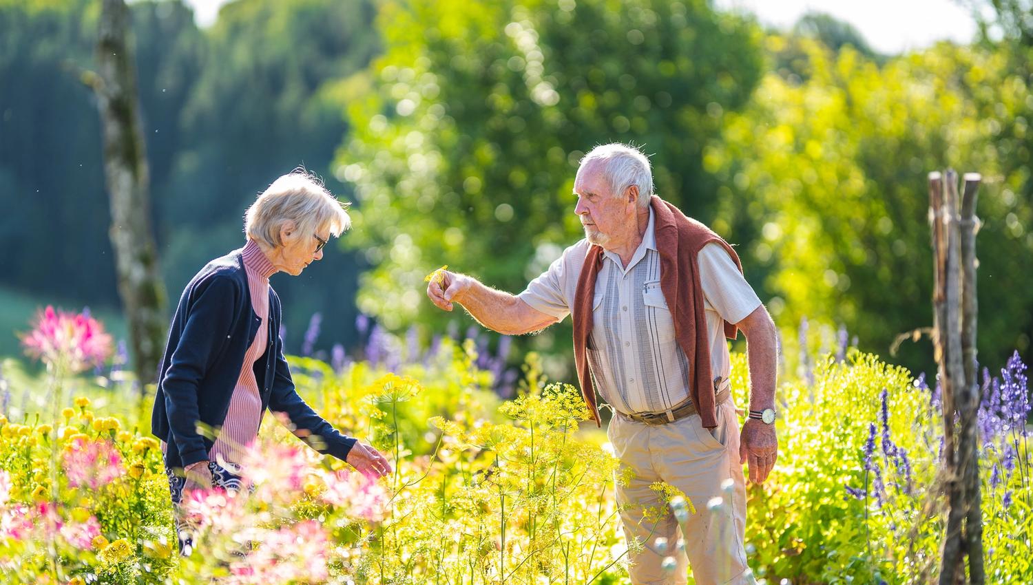 Old couple in the field