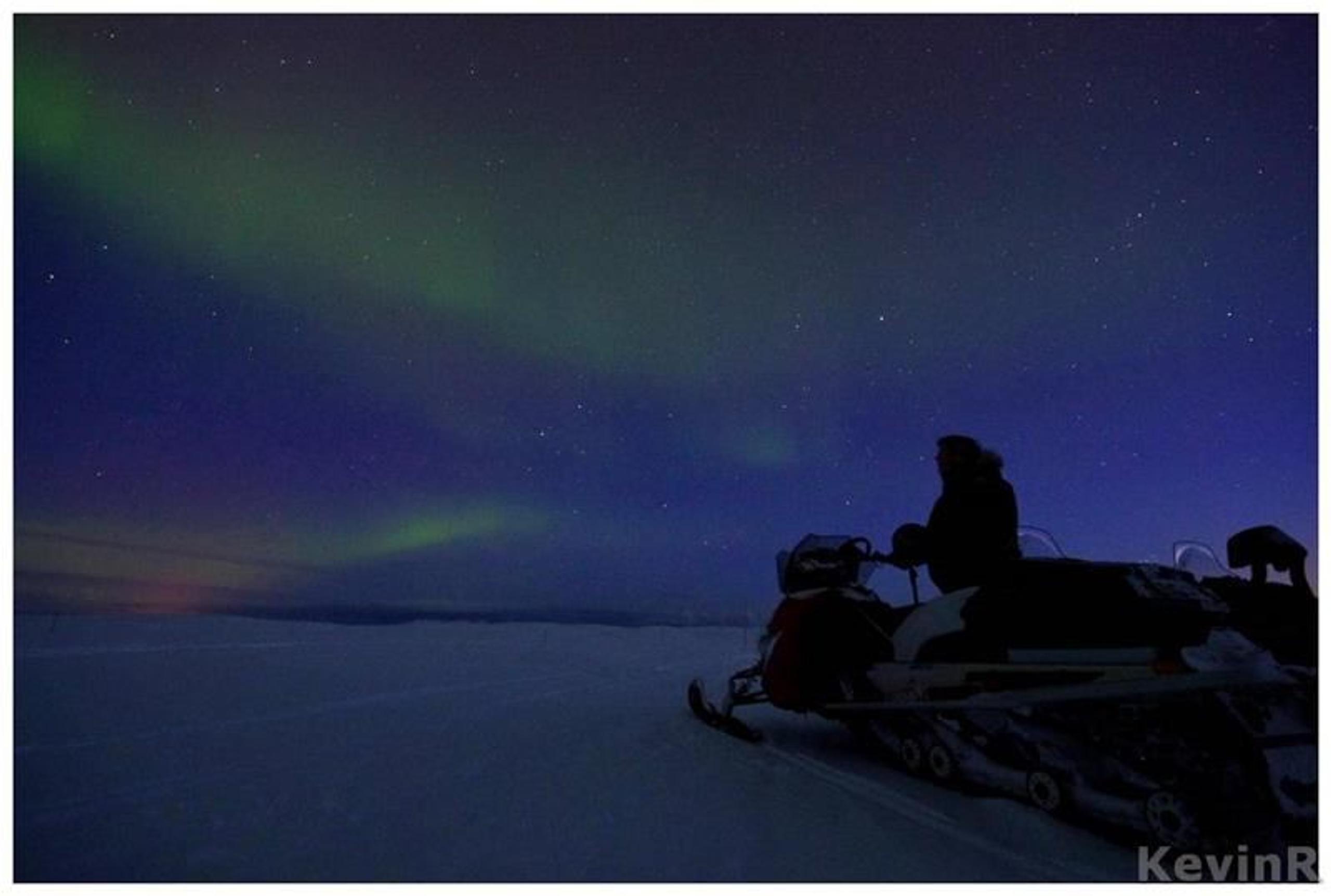 Northern Light - Nordic Safari