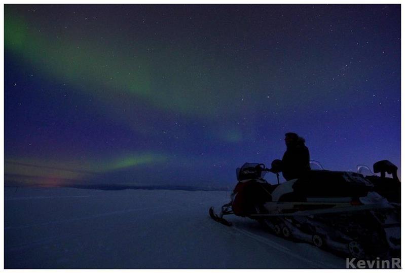 Northern Light - Nordic Safari