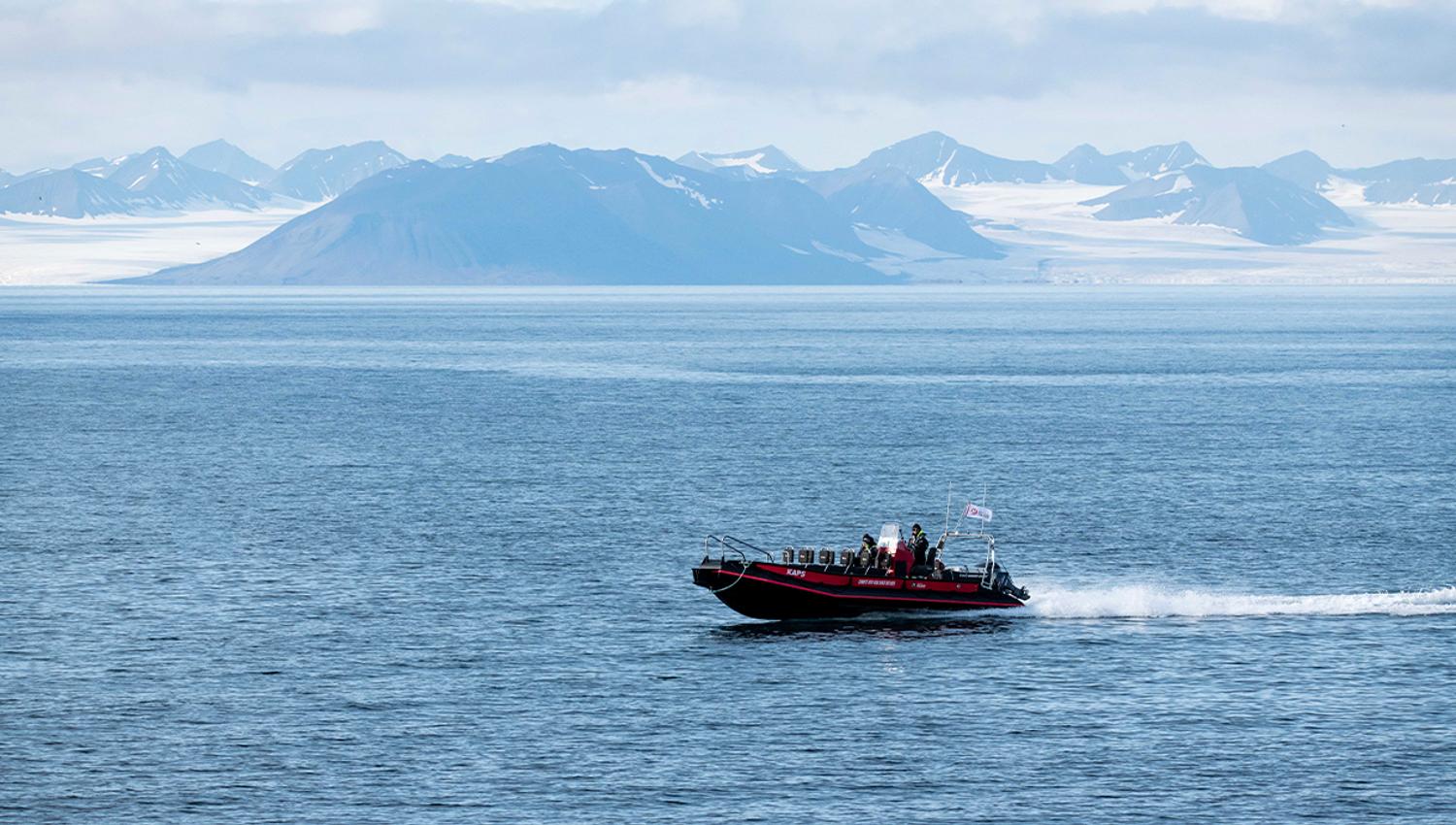 A RIB boat sailing across a vast open fjord with mountains and glaciers far away in the background