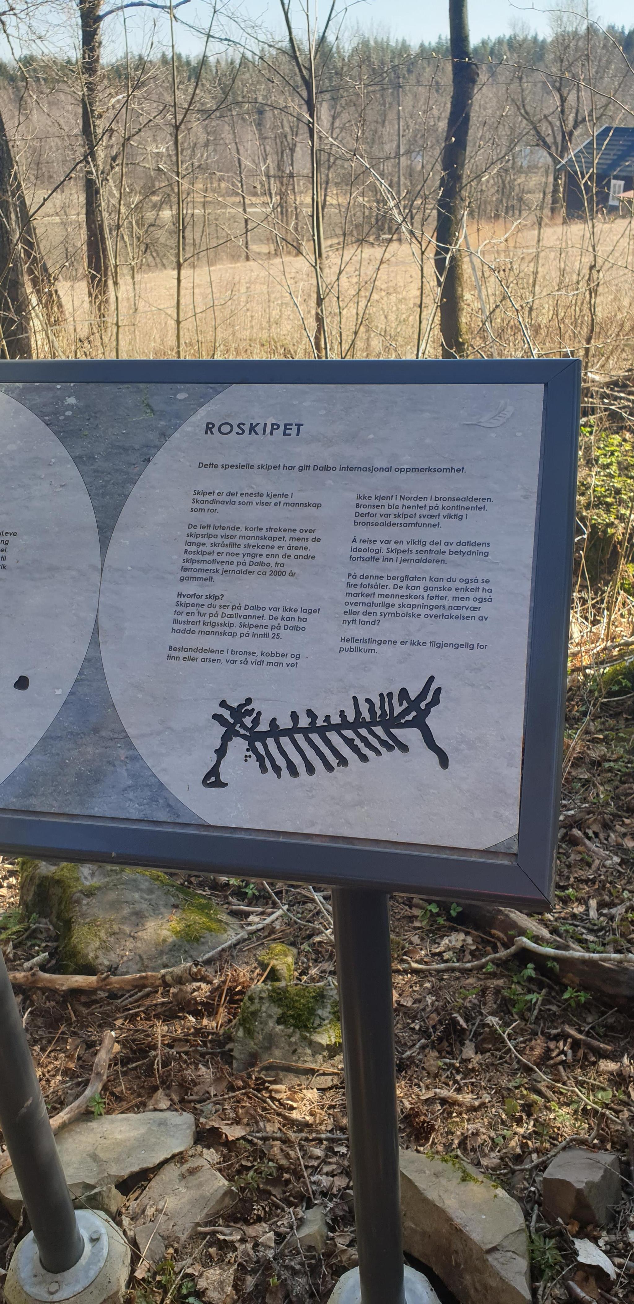 Rock carvings and wildlife tour to Dælivann