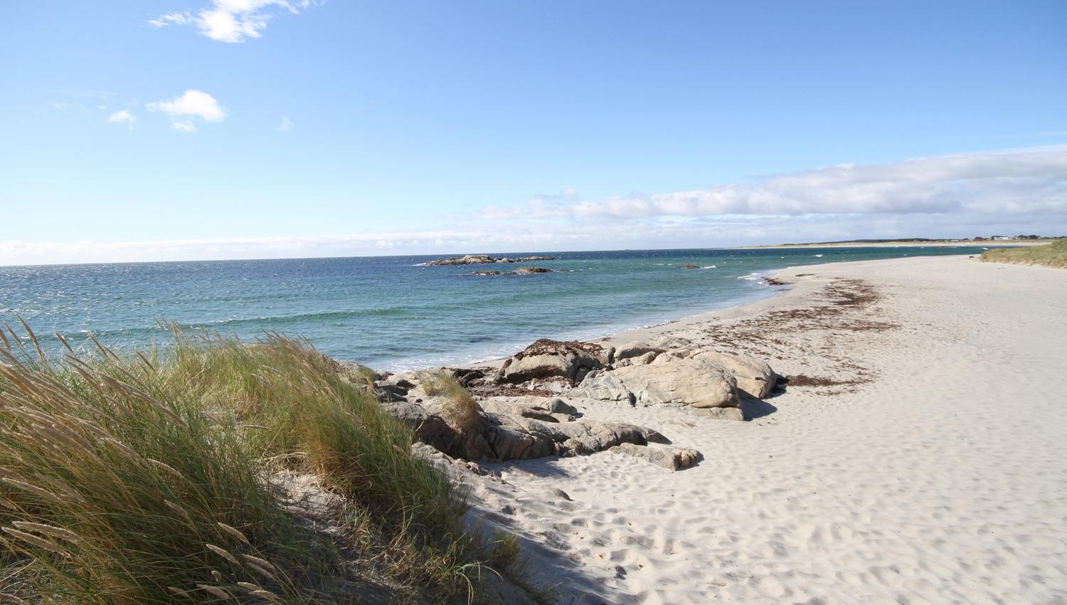 Havik beach Lista