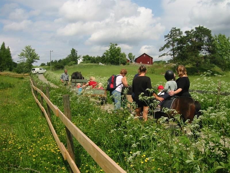 families on pony rides