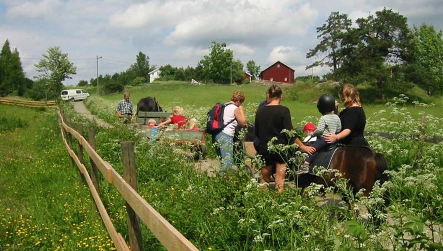 families on pony rides
