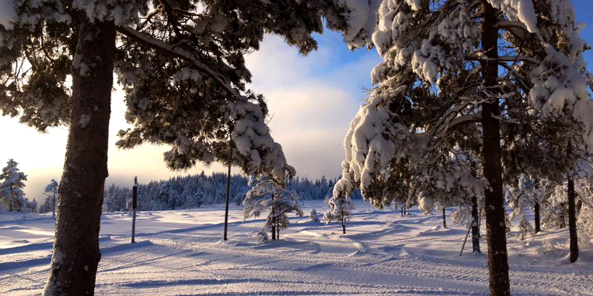 Steinkjer-Midterfjellet-Skiløype-Vinter-sol-(8)