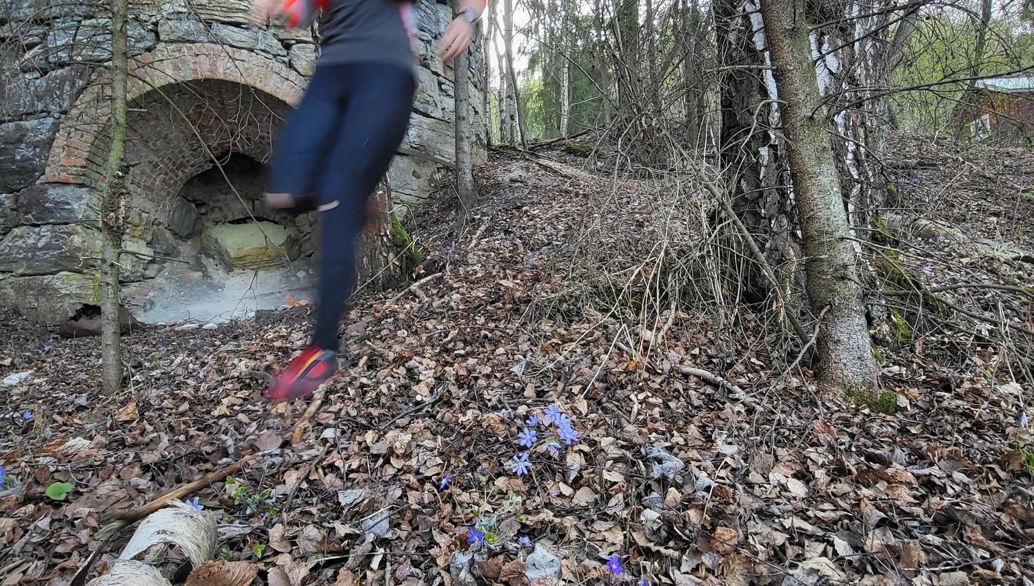 Helgøya rundt Vårtur 2022 jogger i farta Foto_sprekeopplevelser