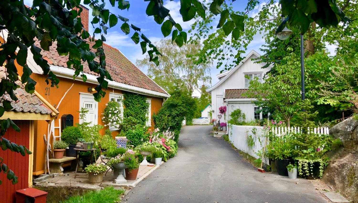 sommerbilde fra Drøbak med hus og blomster