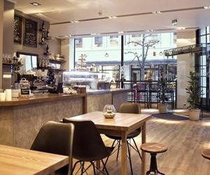 Racoon Coffee & More