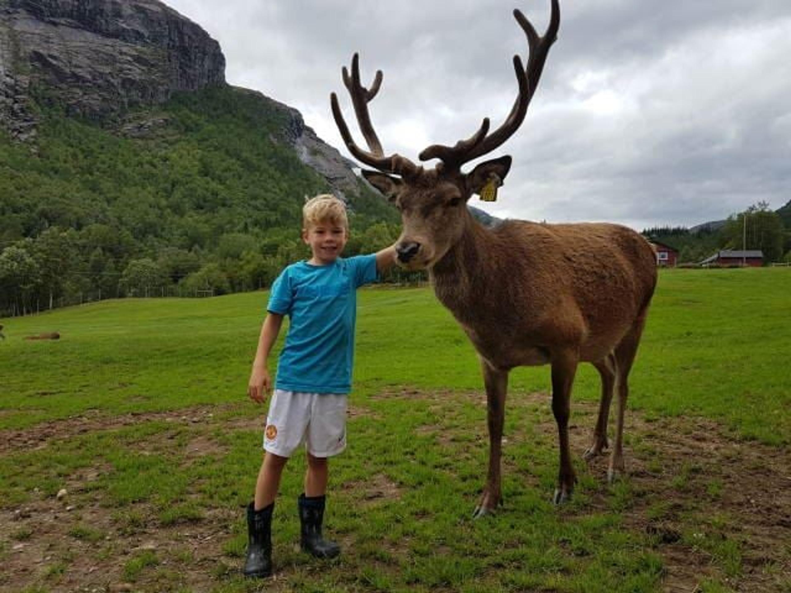 Visit the Hjortegarden | Knutholmen 
