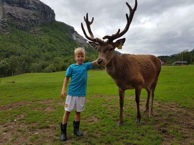 Visit the Hjortegarden | Knutholmen