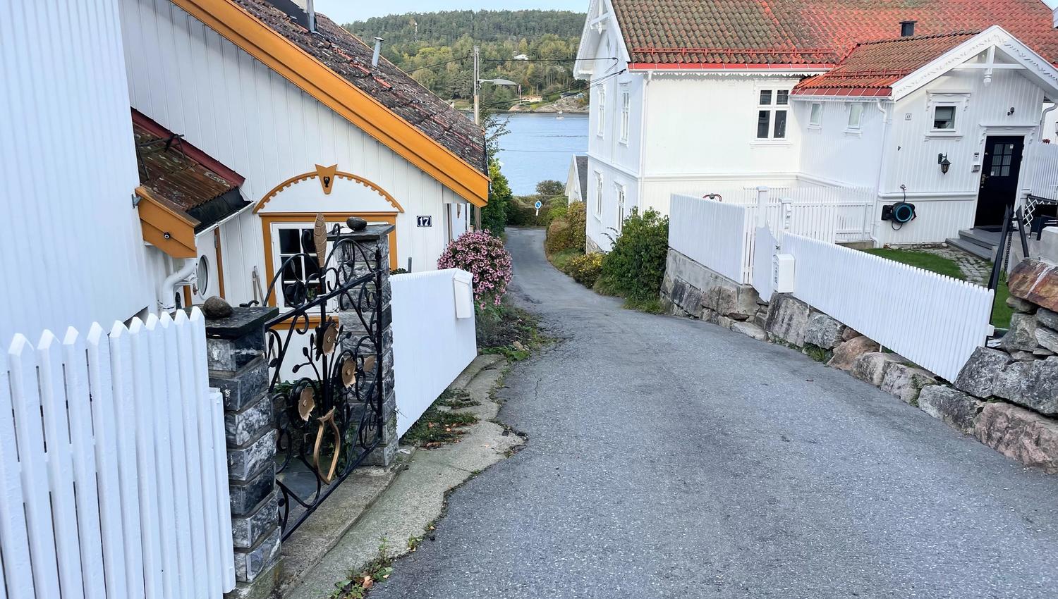 White houses by the road