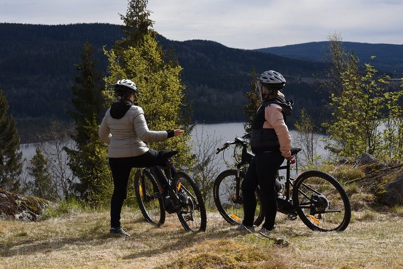 Finnskogtoppen SPA & Velværehotell