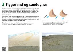 Kvitsanden