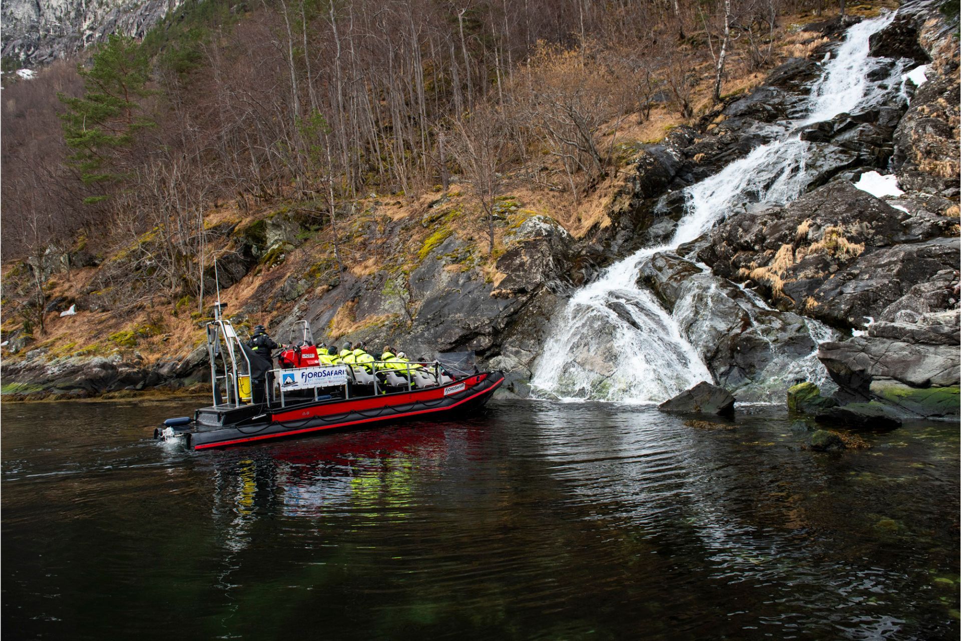 Vinter FjordSafari