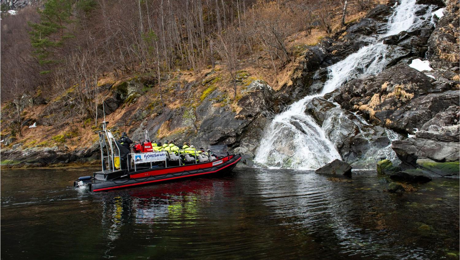 Vinter FjordSafari