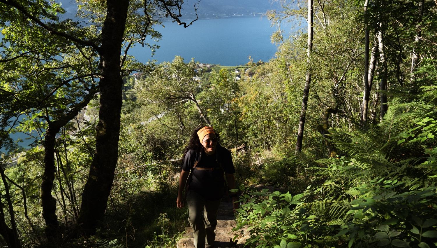 Hiking trail