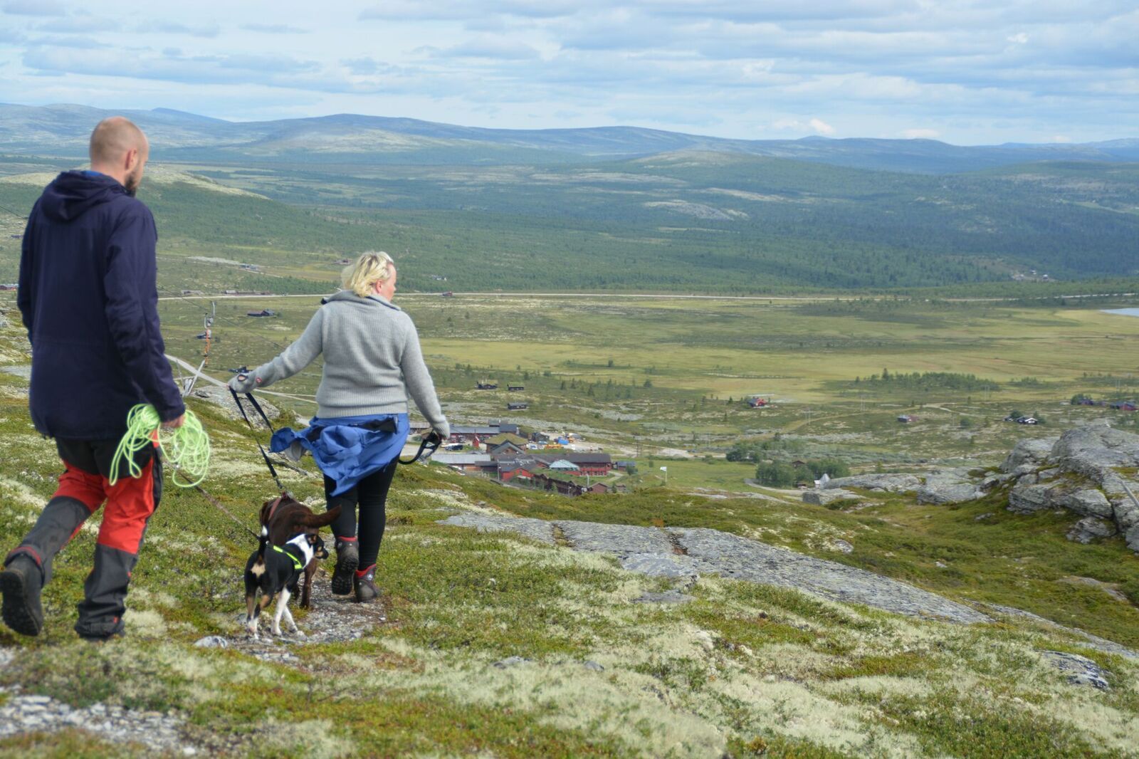 Flaksjølihøgda