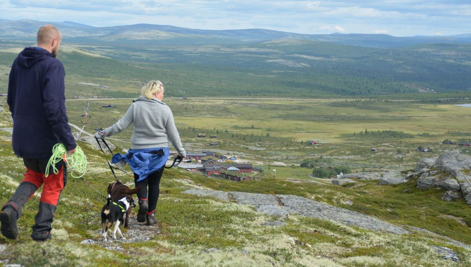 Flaksjølihøgda