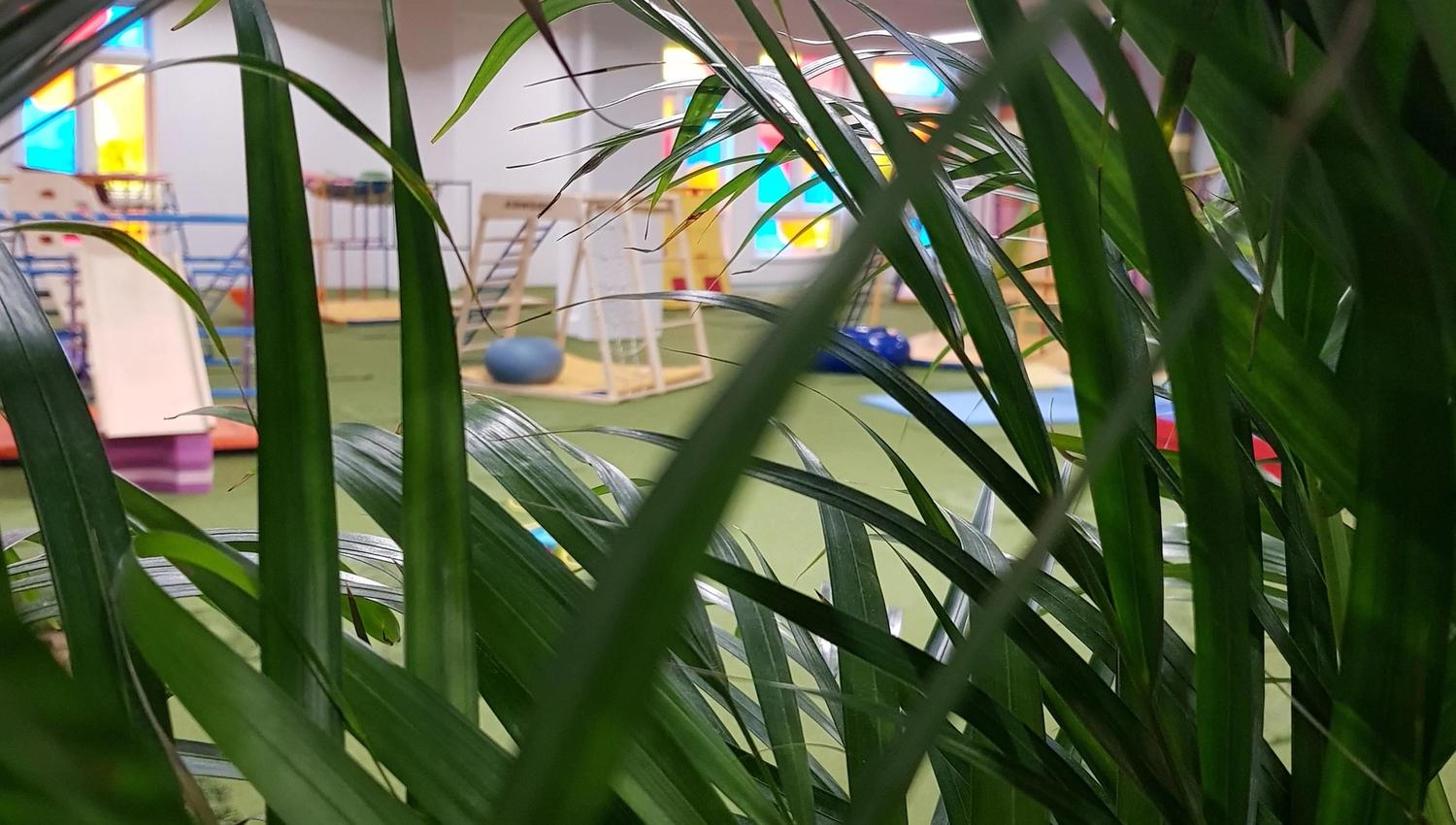 Palme med lekeparken i bakgrunnen