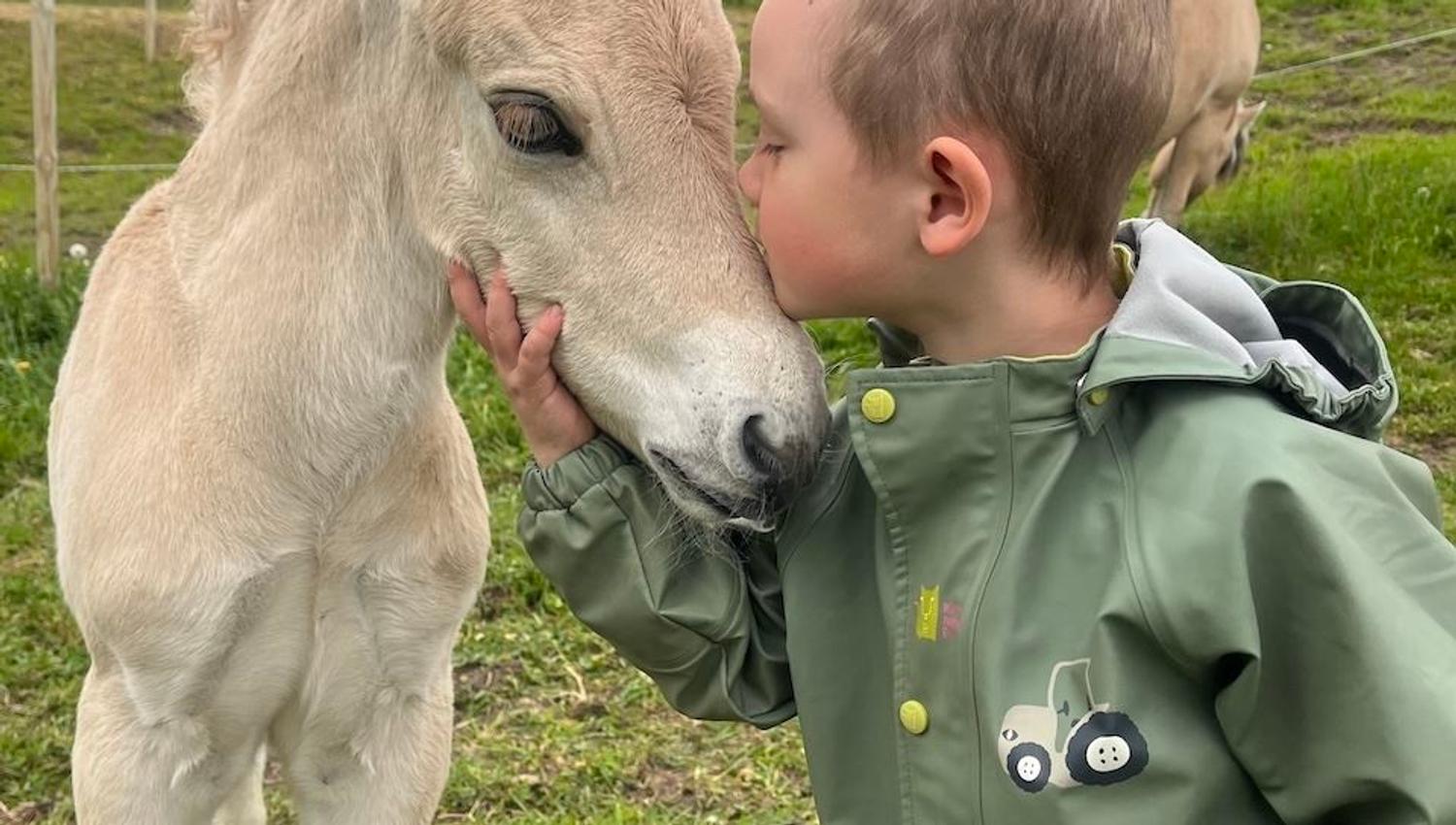 A child in a green raincoat gently holds the muzzle of a light-colored foal in a grassy field with mountains..